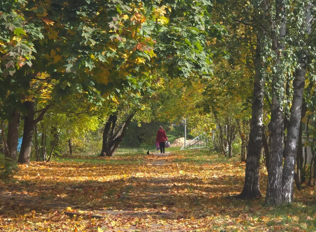 🌺 Доброе утро, Москва!