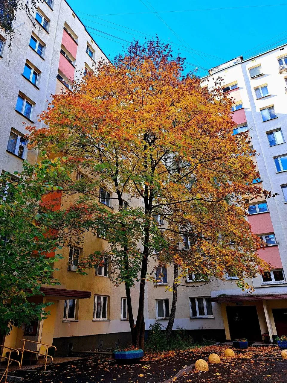 Наше уютное осеннее Ясенево! ❤🍁