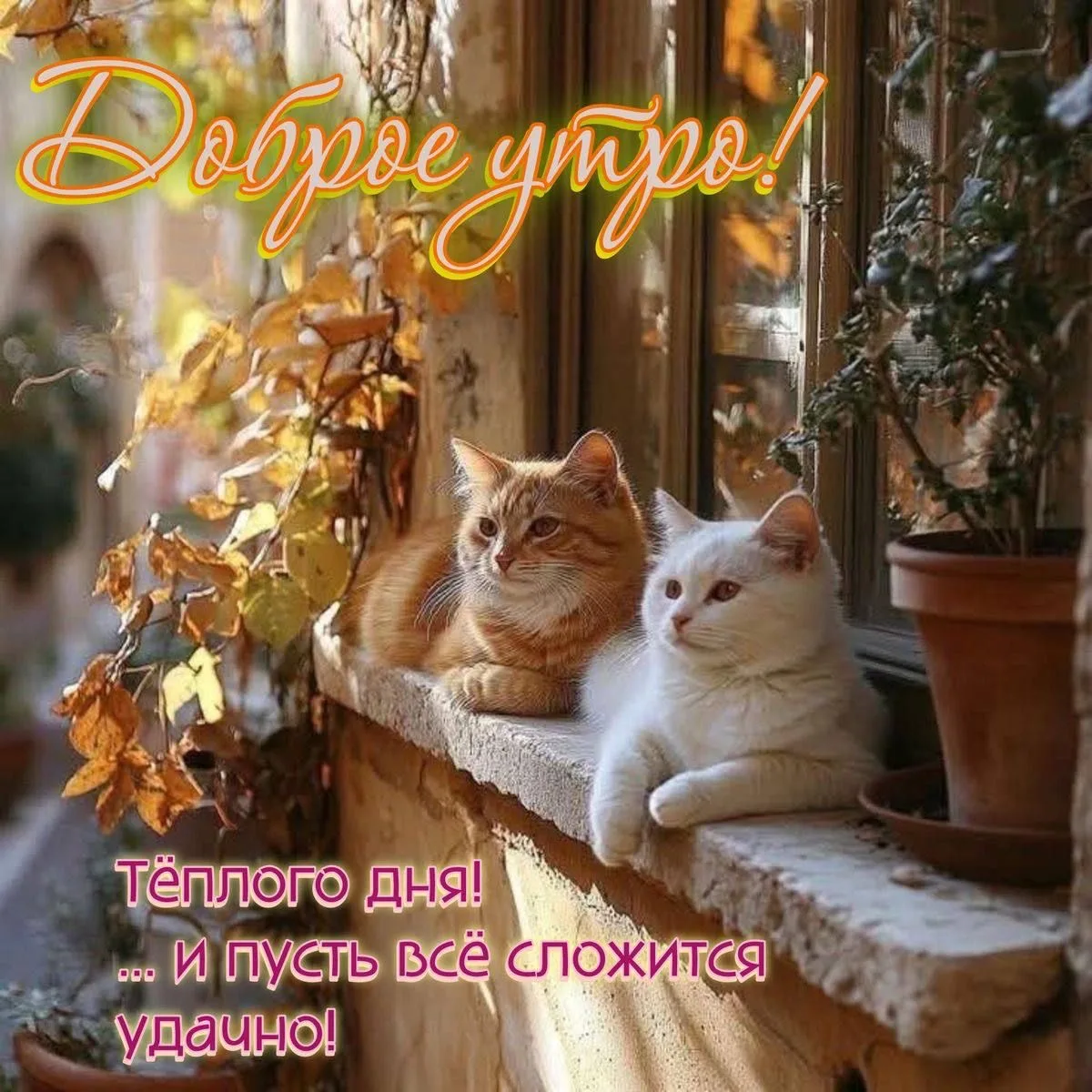Красивые открытки❤️
