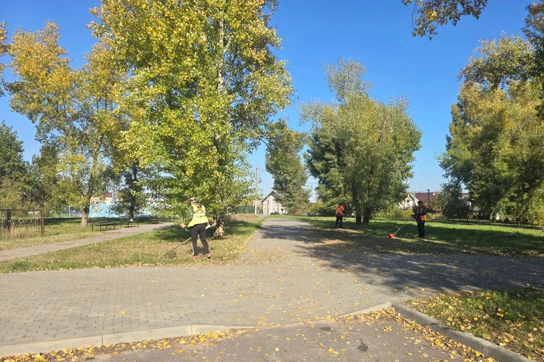 🌱 Сезон покоса травы не закрыт: в Железнодорожном районе продолжают следить за состоян...