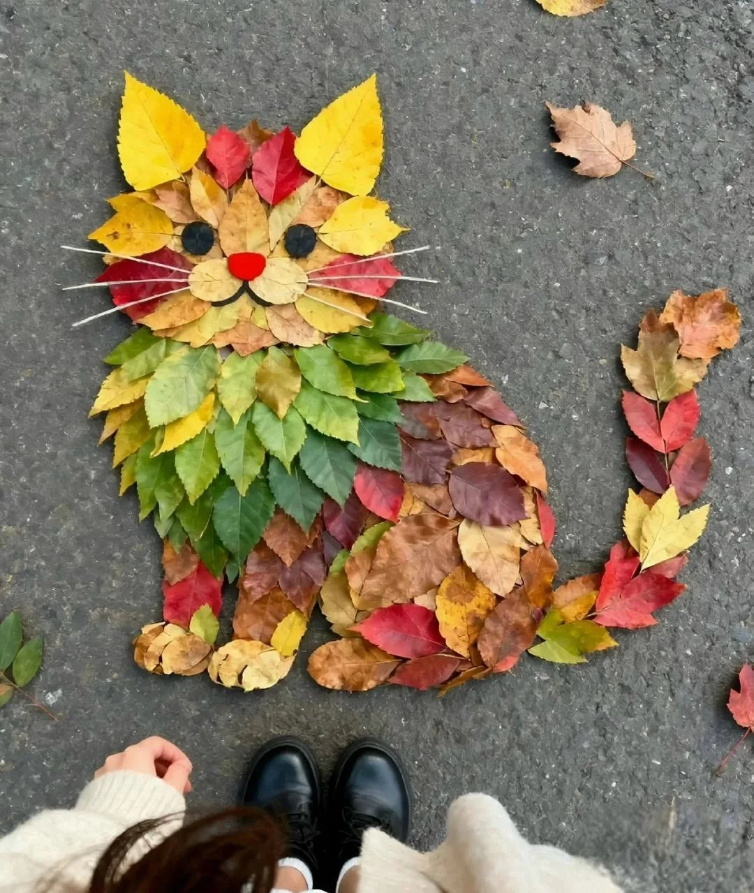 Осеннего котика в ленту Саяногорска 😻 ♥️