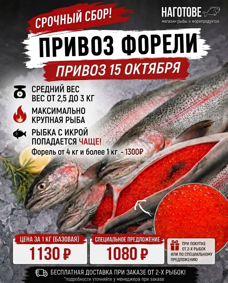 ‼️СРОЧНЫЙ СБОР!