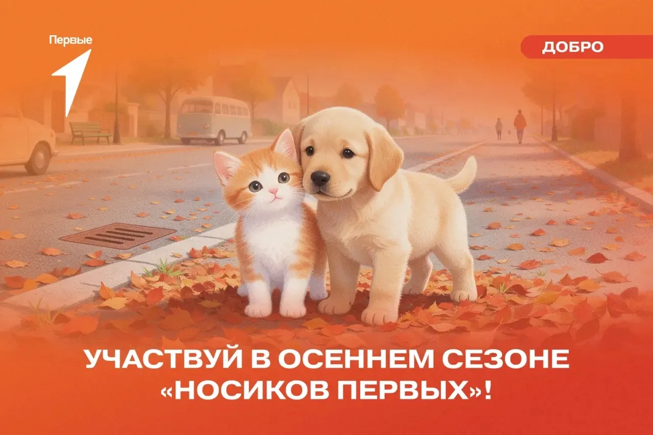 🌏🐶В нашей школе в рамках Всемирного дня защиты животных прошла акция «Носики Первых»....