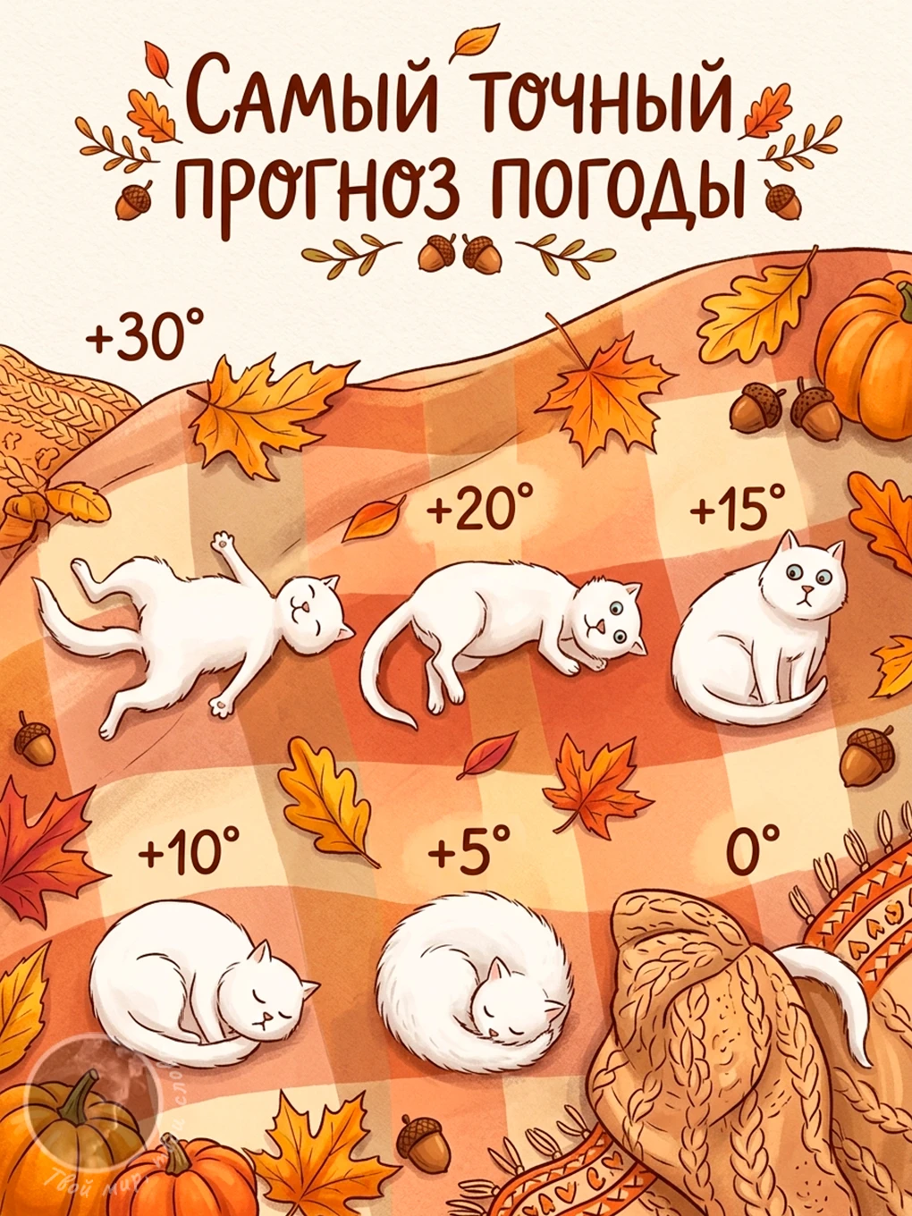 Твой мир, твои слова