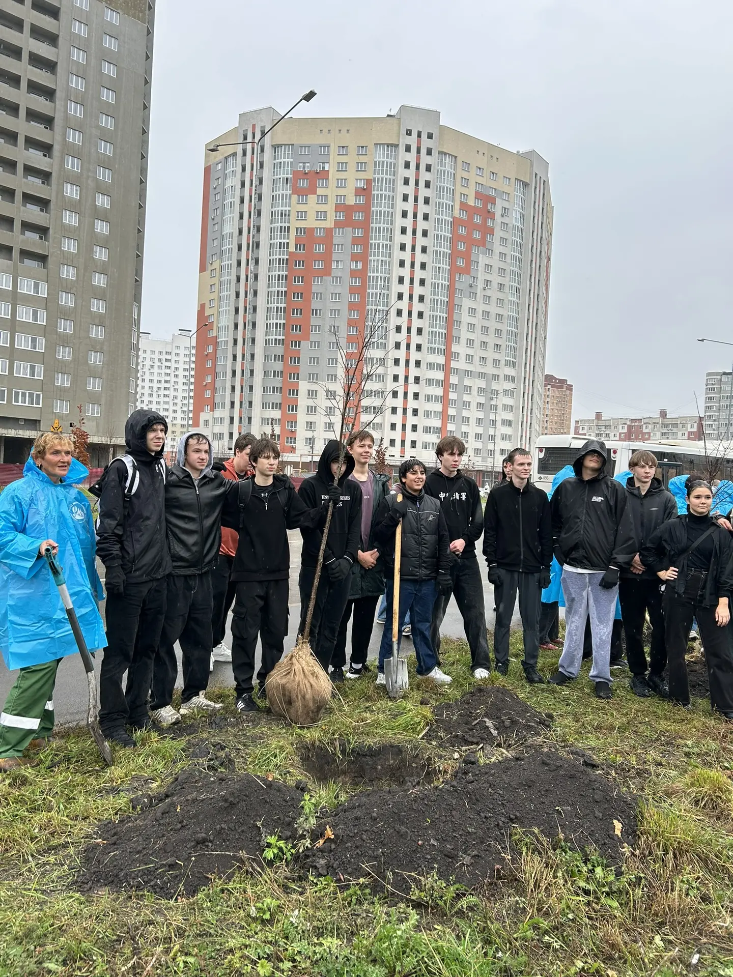 В сквере Белана появилось еще 90 молодых лип 🌳🌿