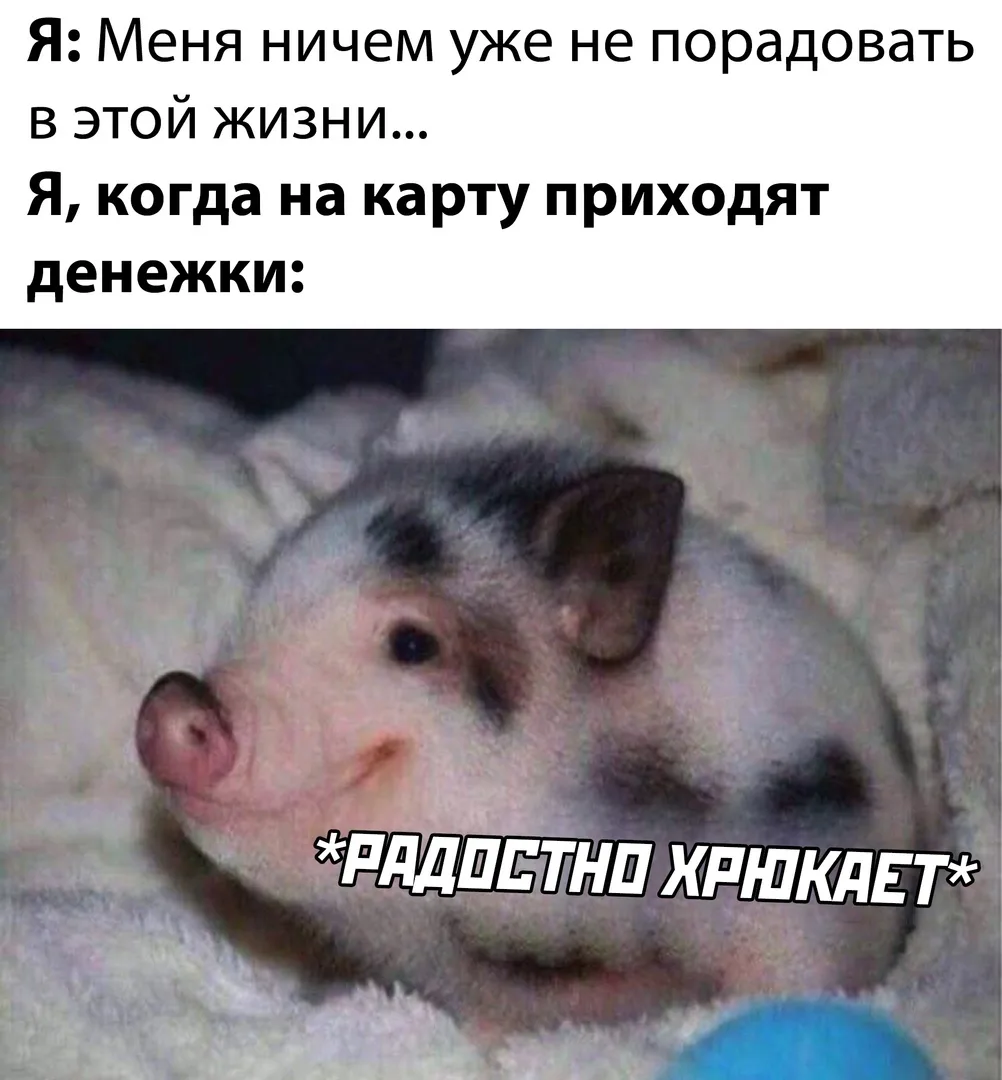 ____________________
