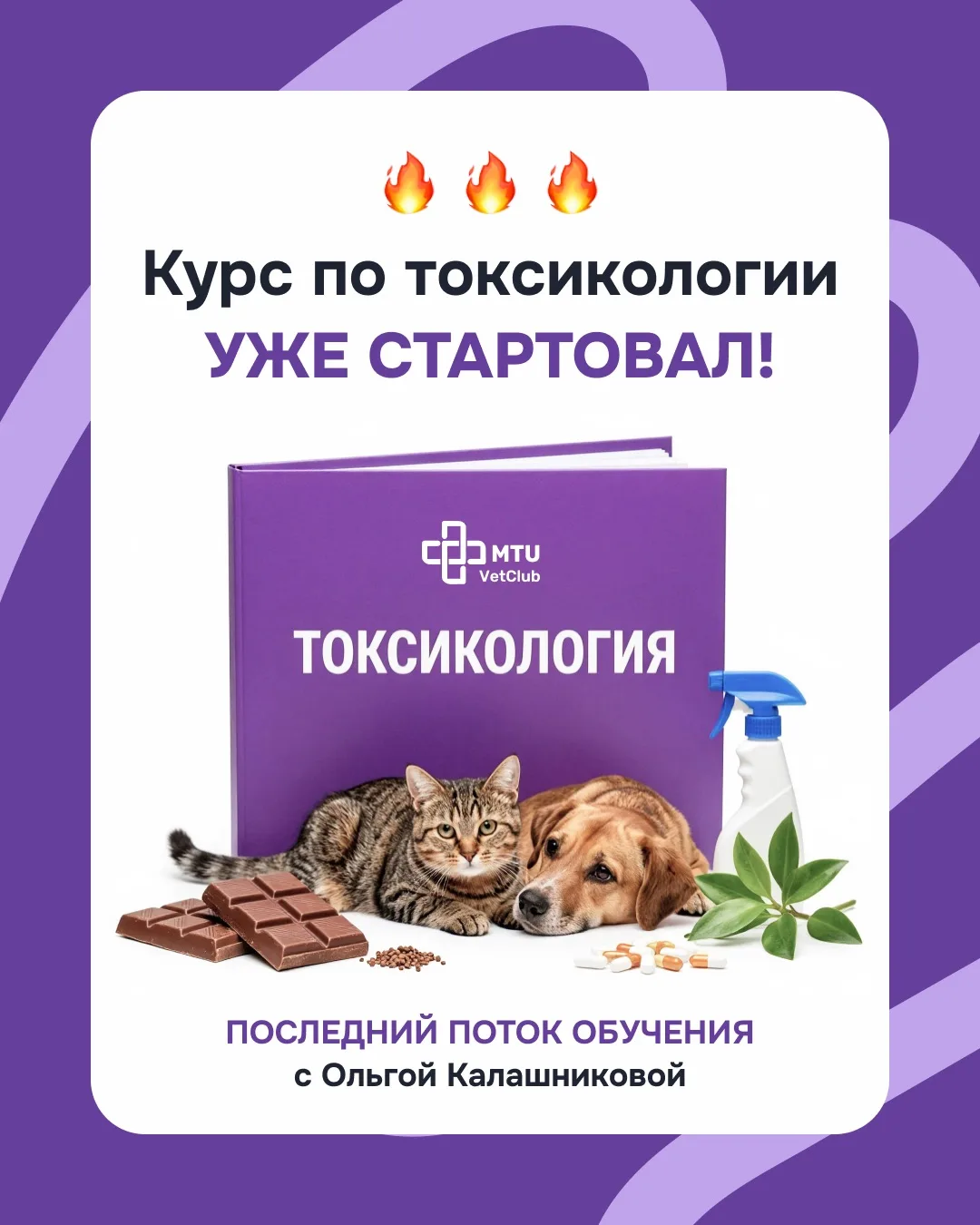 Сегодня стартовало обучение на курсе по токсикологии