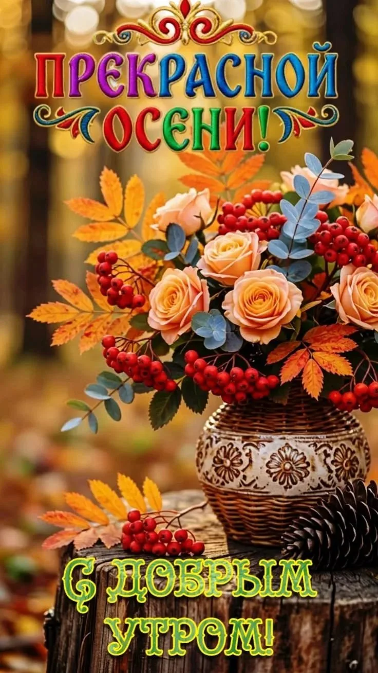 Чудесного утра вам🍁🍂