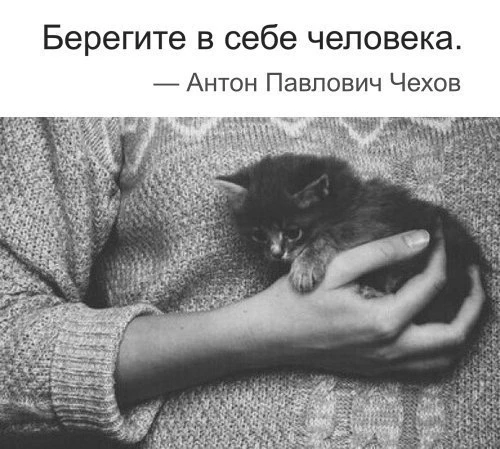 Мудрость на ночь!