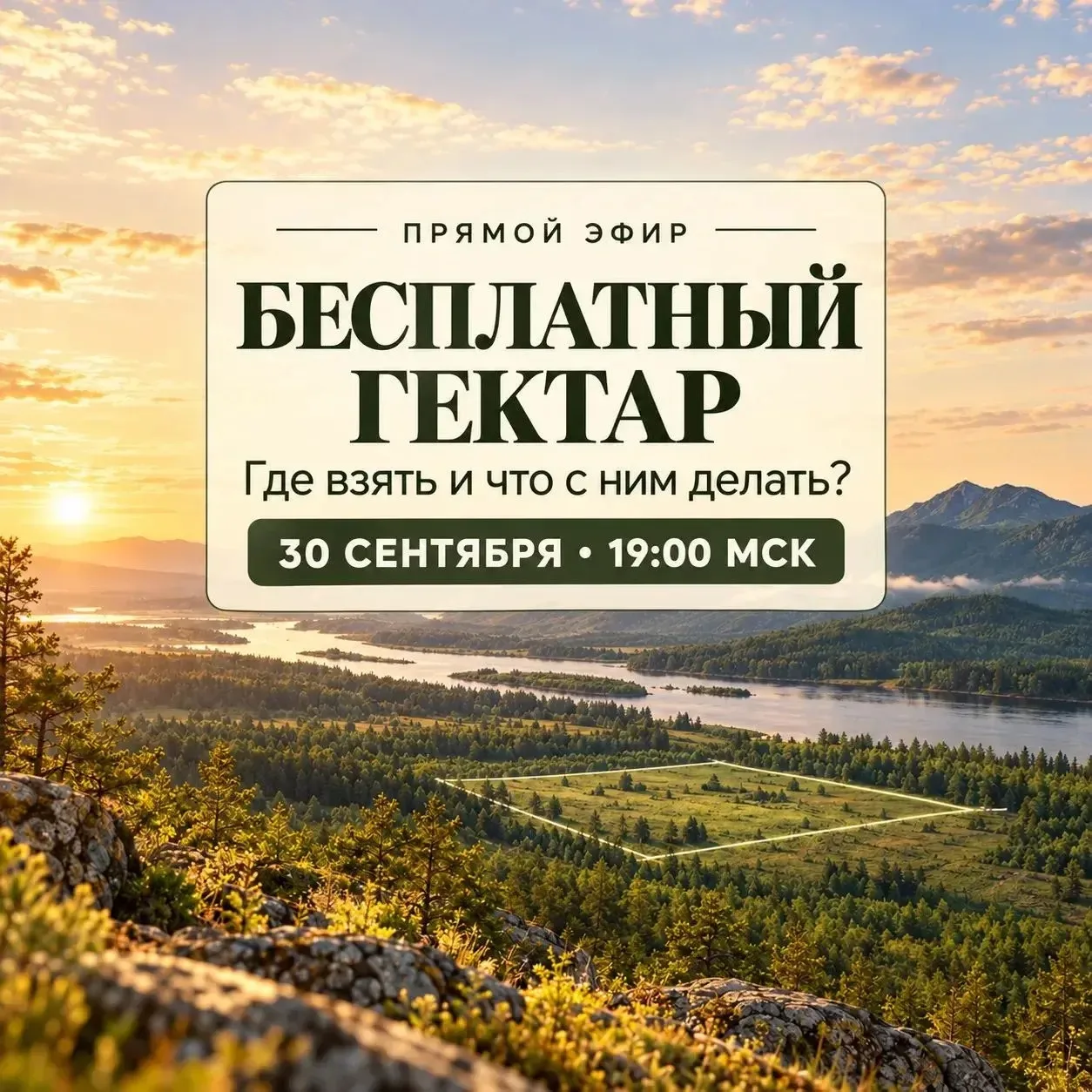 Бесплатный гектар: где его взять и что с ним делать? Разбираю на прямом эфире сегодня, ...