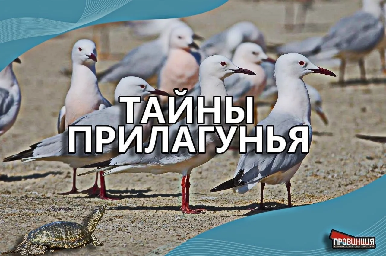 Друзья!