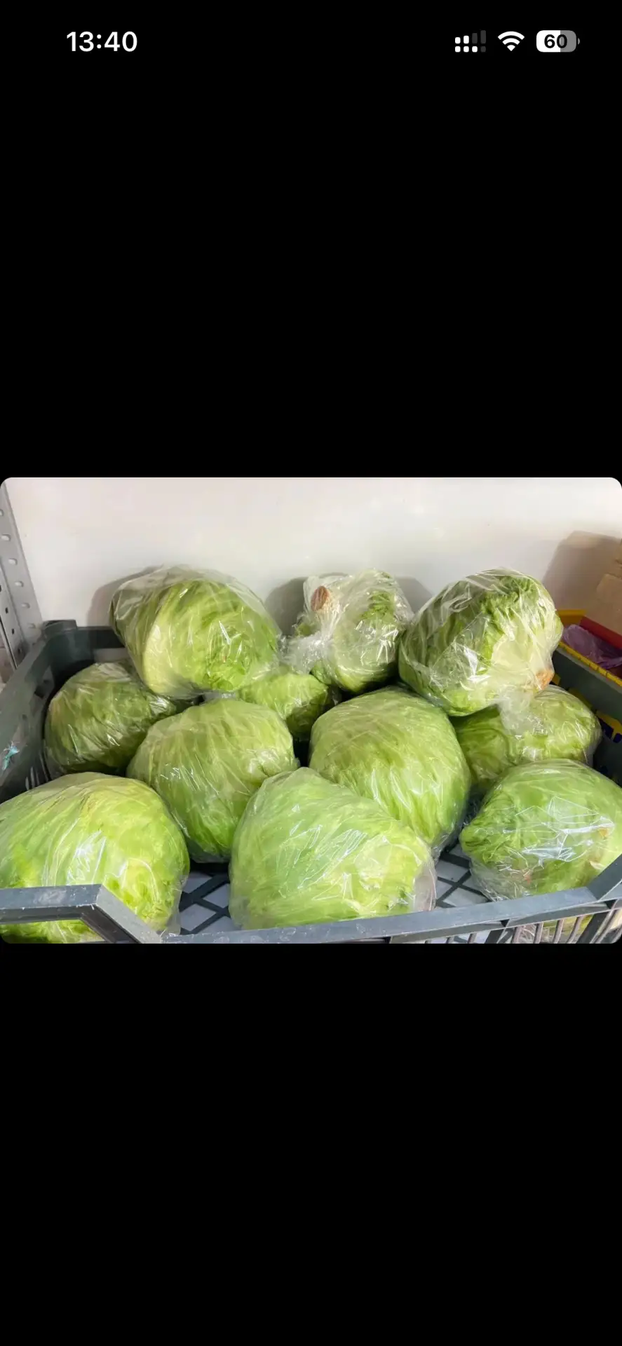 🥗🥗🥗🥗🥗🥗🥗🥗🥗🥗