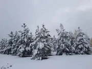 Немного спокойствия перед началом дня✨