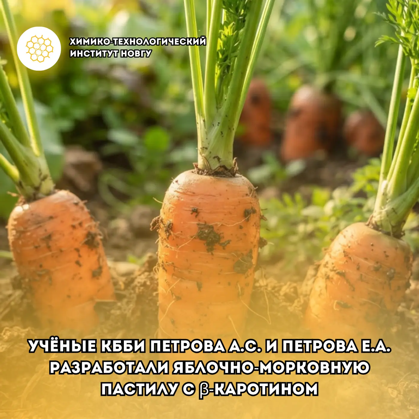 🥕 Учёные ХТИ придумали, как сделать пастилу полезной