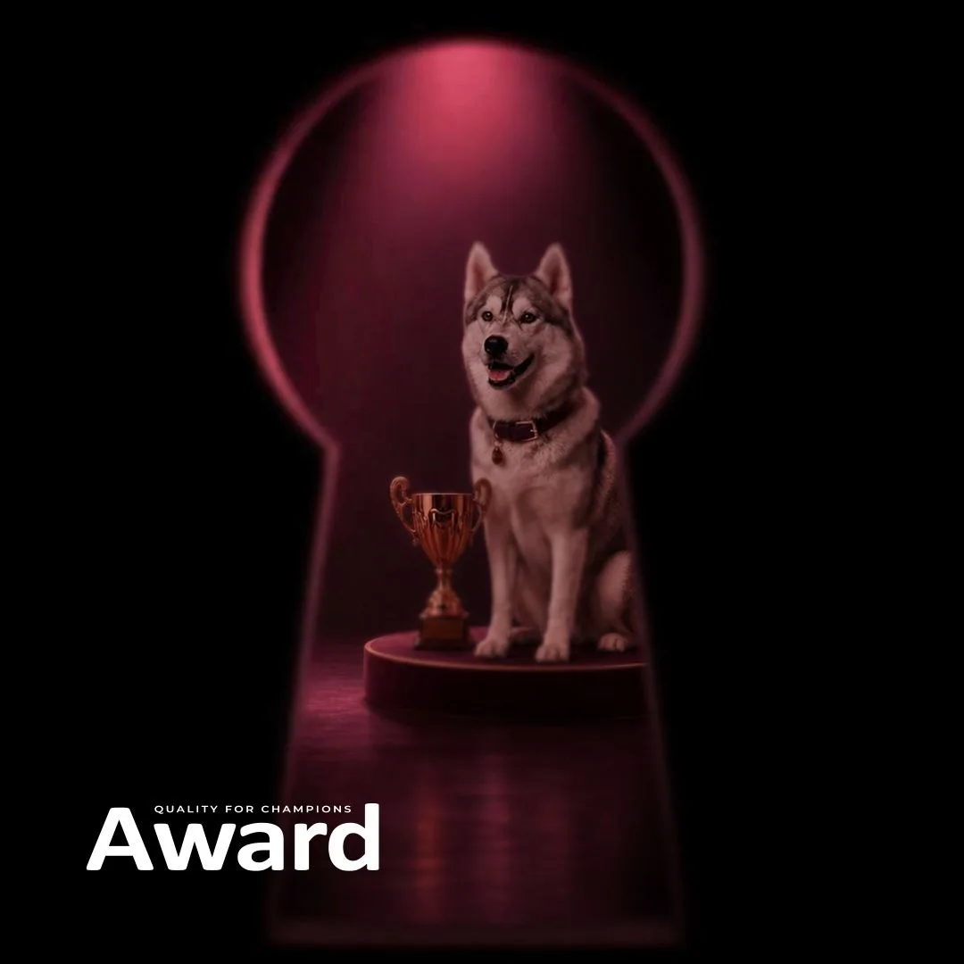 Award ищет звезду! ⭐️