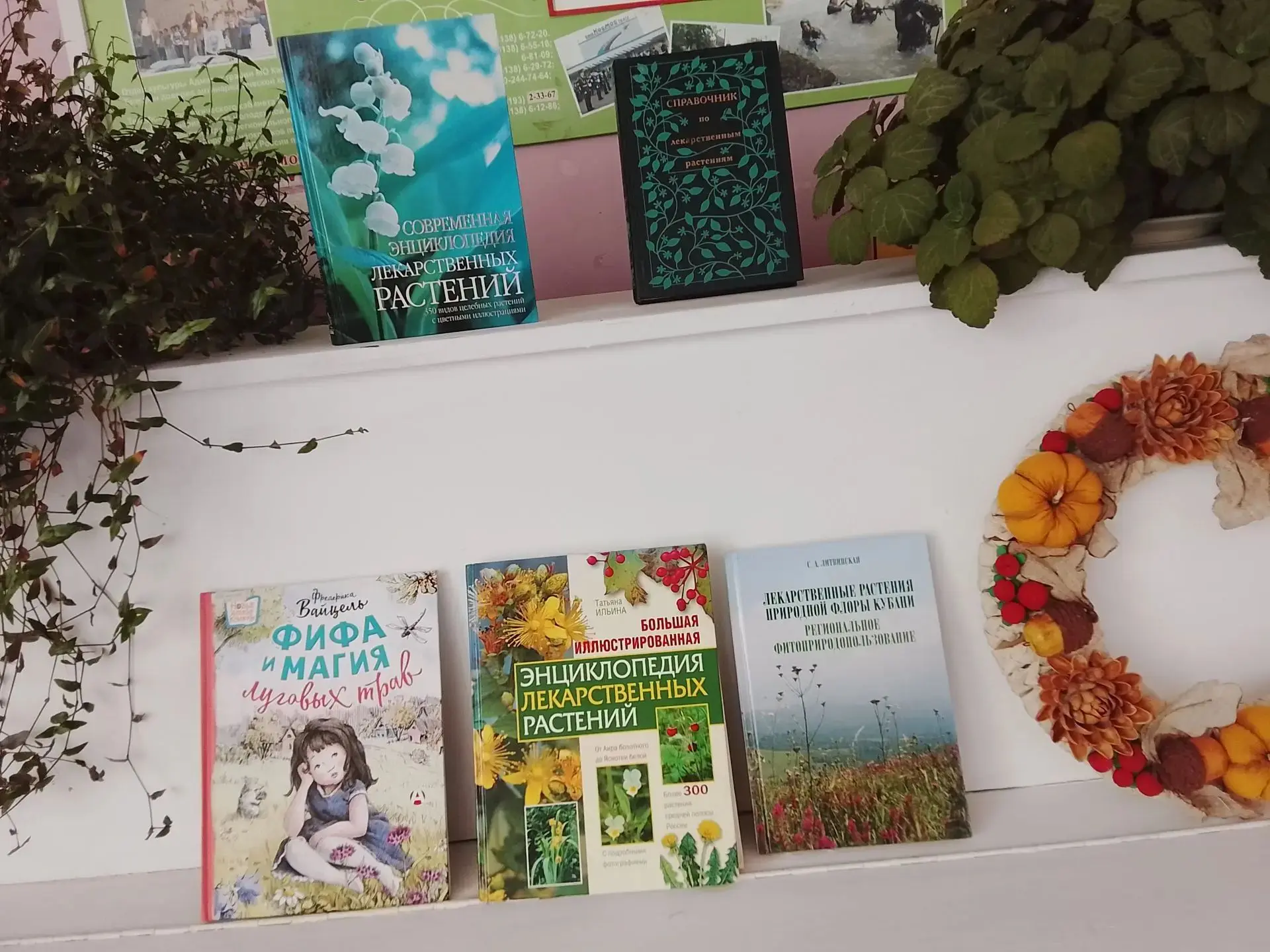 📜 Тайна раскрыта: в нашем ДК прошёл квест «Тайная книга травоведа»!