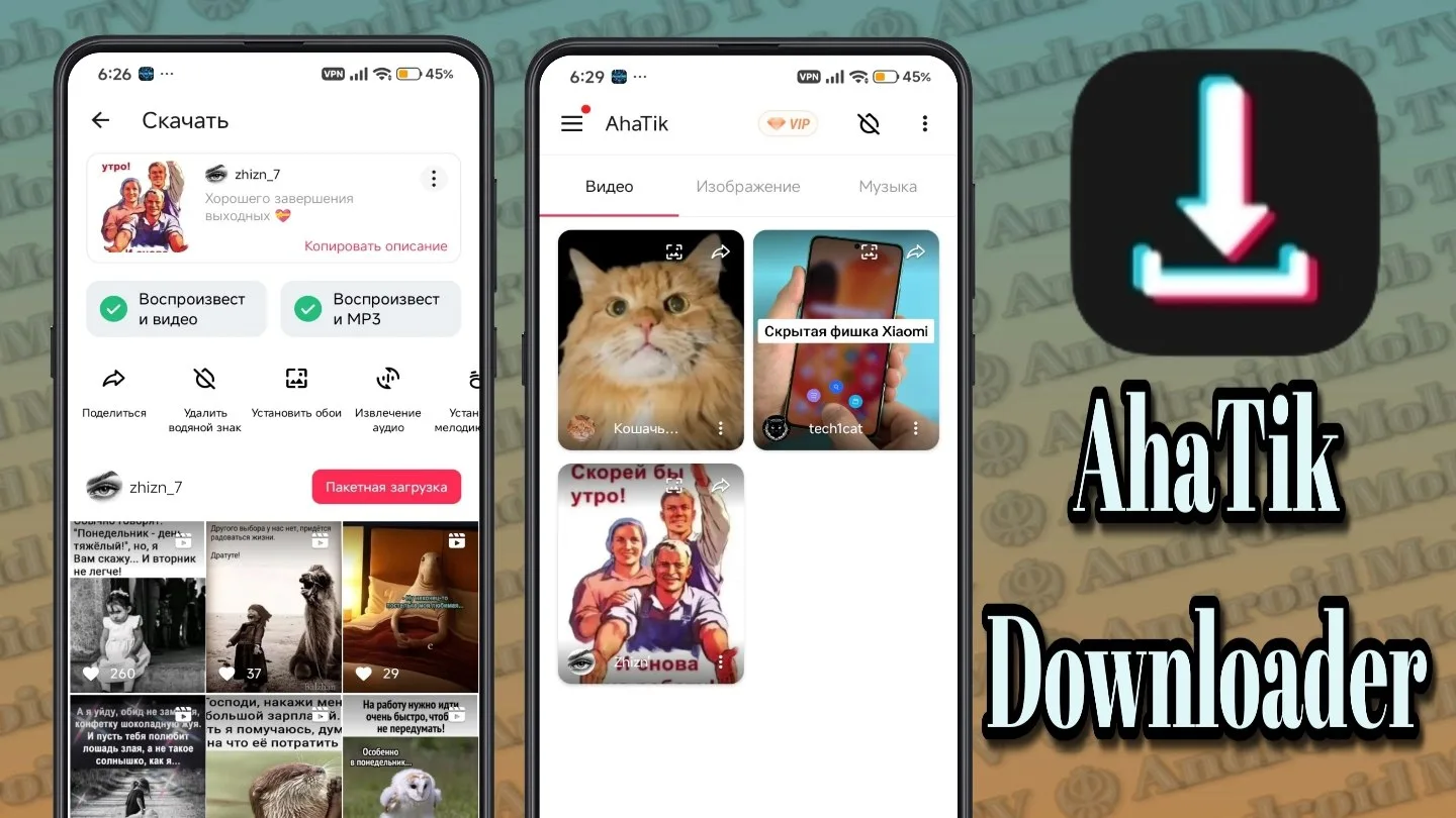 AhaTik Downloader Pro v2.9.4