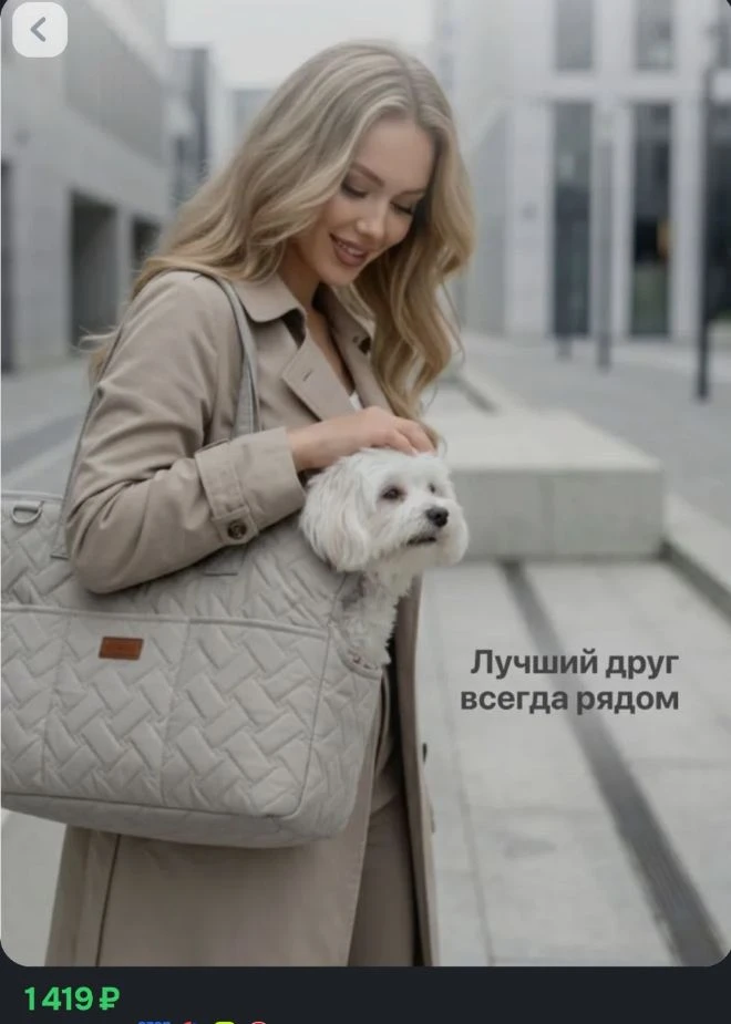 Переноска для кошек и собак мелких пород SSY, серая