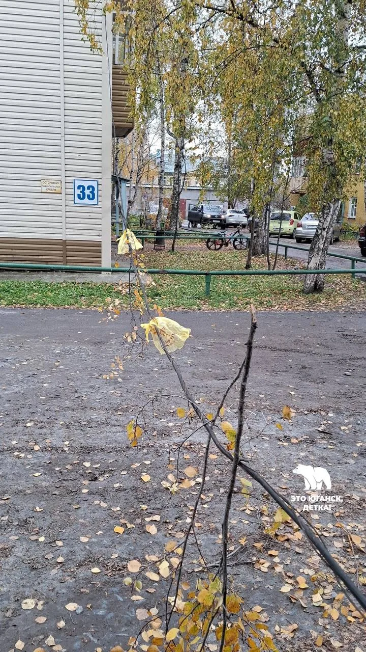 Нам пишут