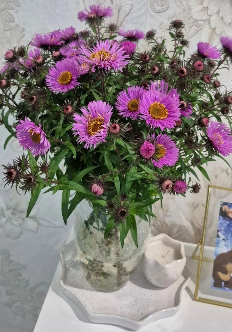 Муж нарвал цветов прямо с моей клумбы🌸 Но я всё равно очень рада!