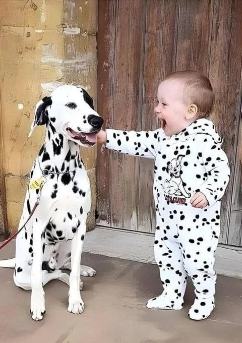 #утреннее