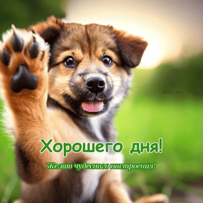 КРАСИВЫЕ ОТКРЫТКИ ТУТ💖