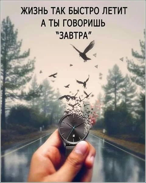 🌳Философия жизни