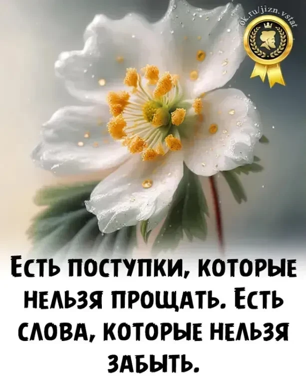 Оставь любую реакцию 😊 Это лучшая благодарность для нас! ❤️