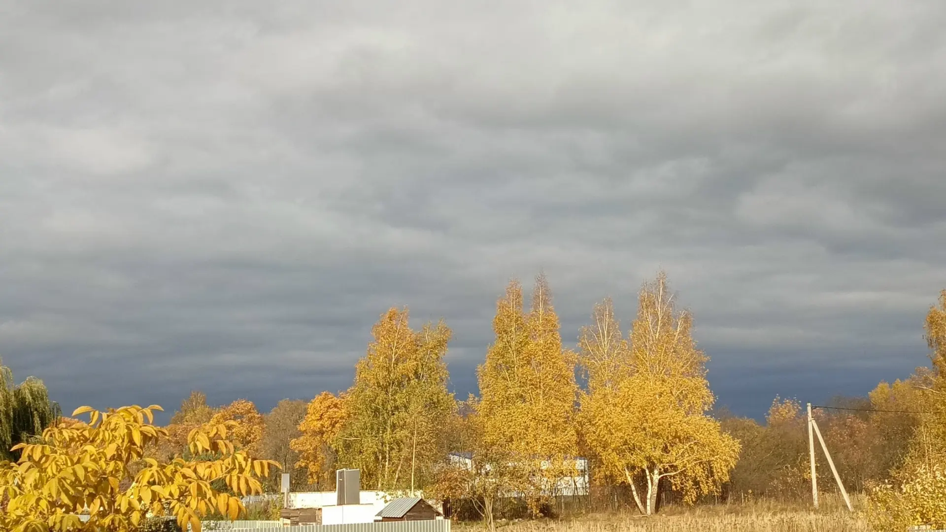 Доброе утро, Луховицы!