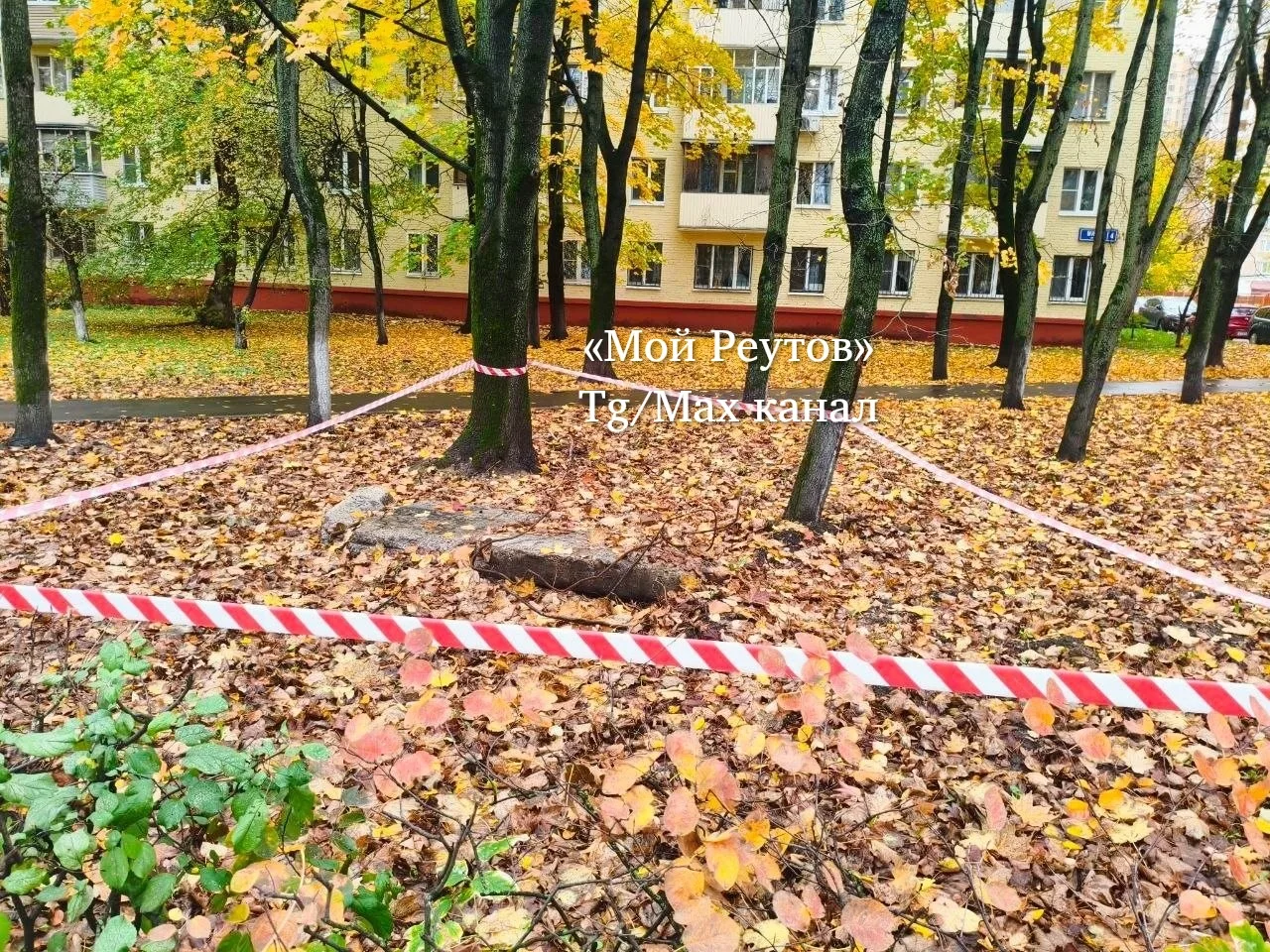 ⁉️ А кто-нибудь знает, что олицетворяет данная инсталляция на проспекте Мира 4🤔