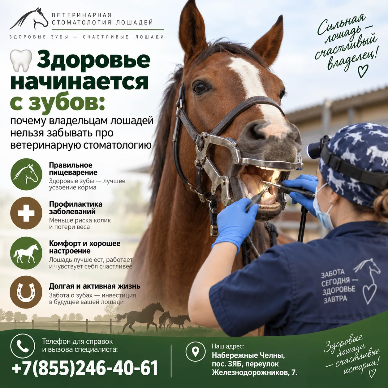 🦷 Здоровье начинается с зубов: почему владельцам лошадей нельзя забывать про ветеринар...