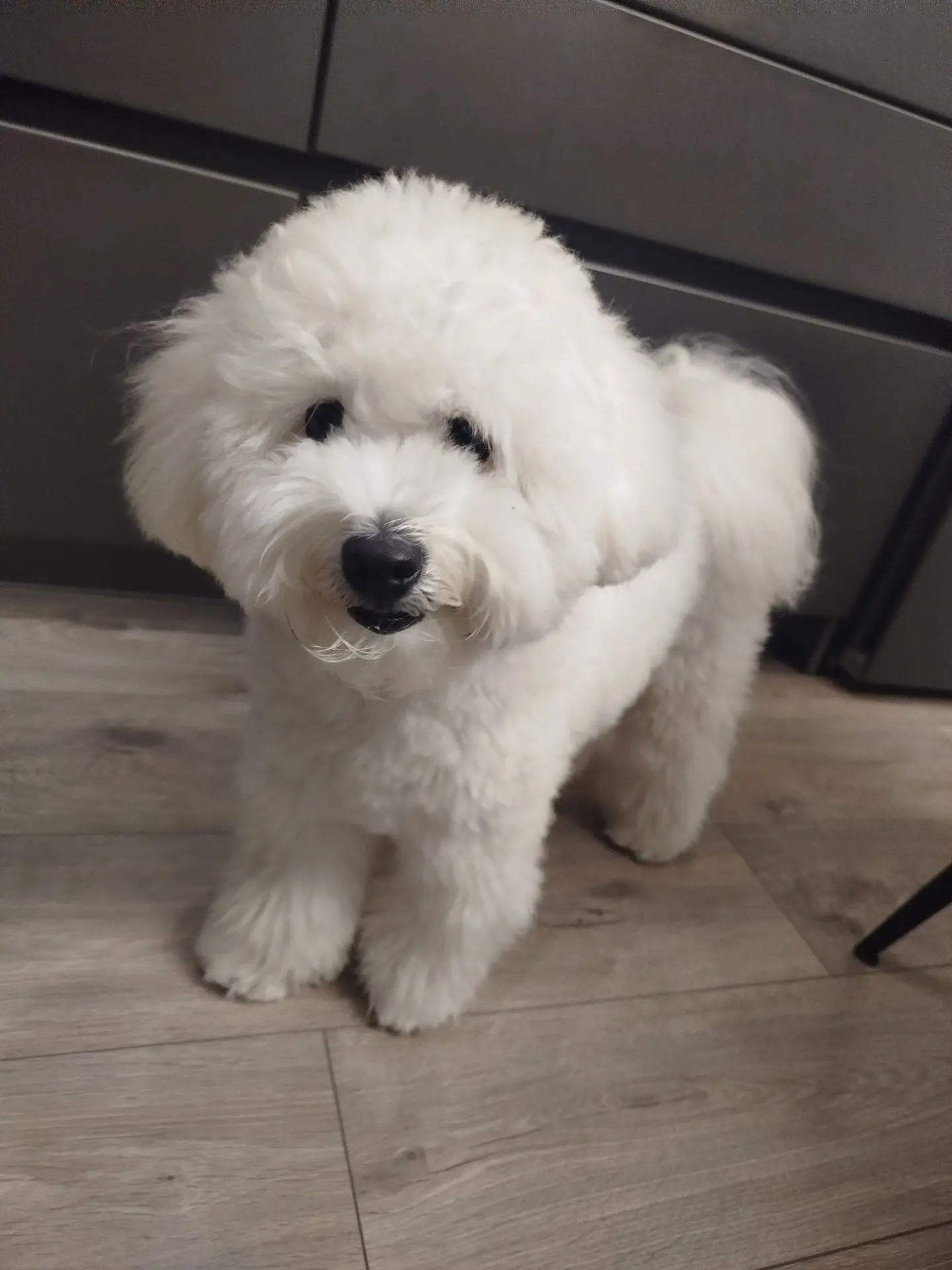 На ближайшие 2 дня этот парень будет в кадре 😍
