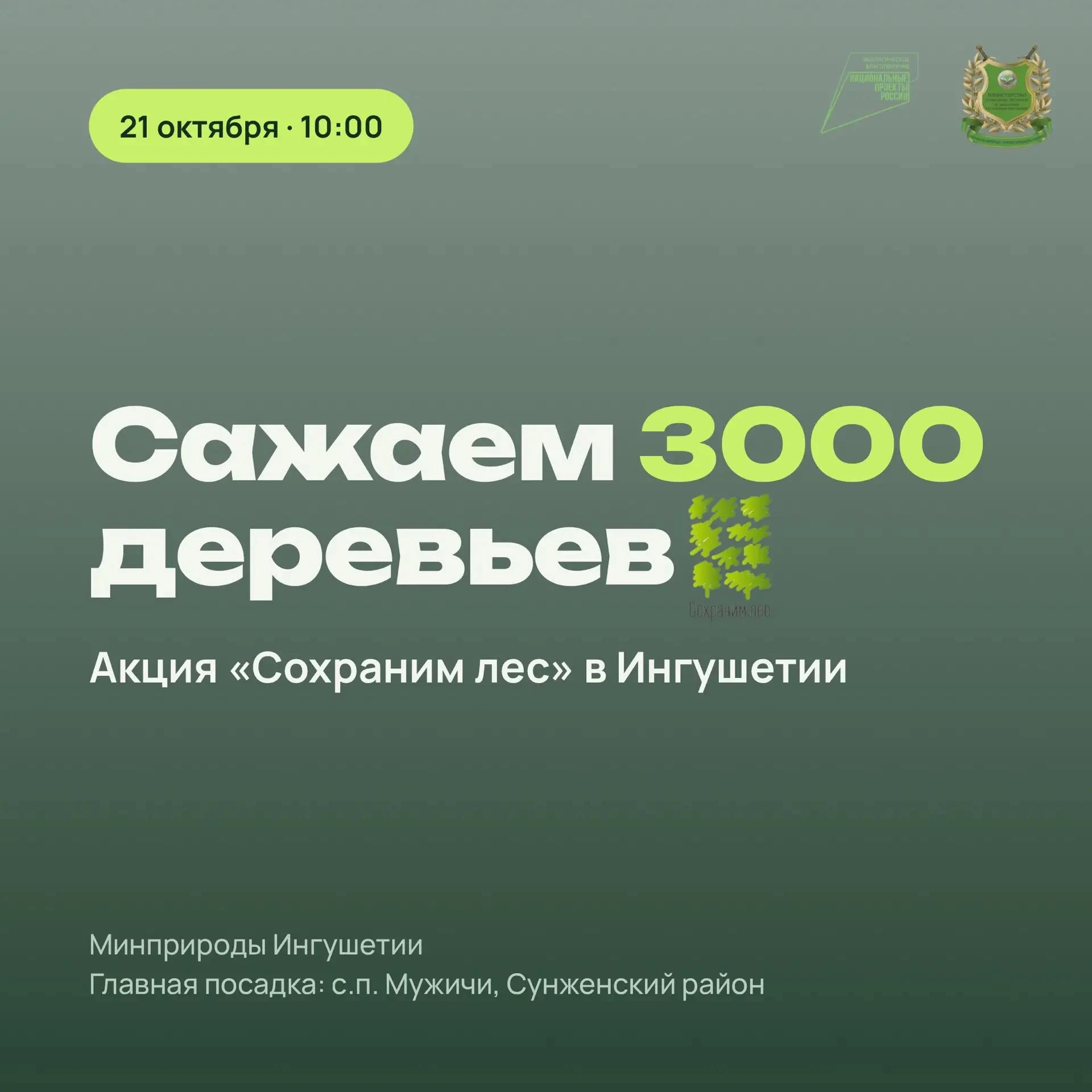 В Сунженском районе высадят 2500 деревьев в рамках акции «Сохраним лес»