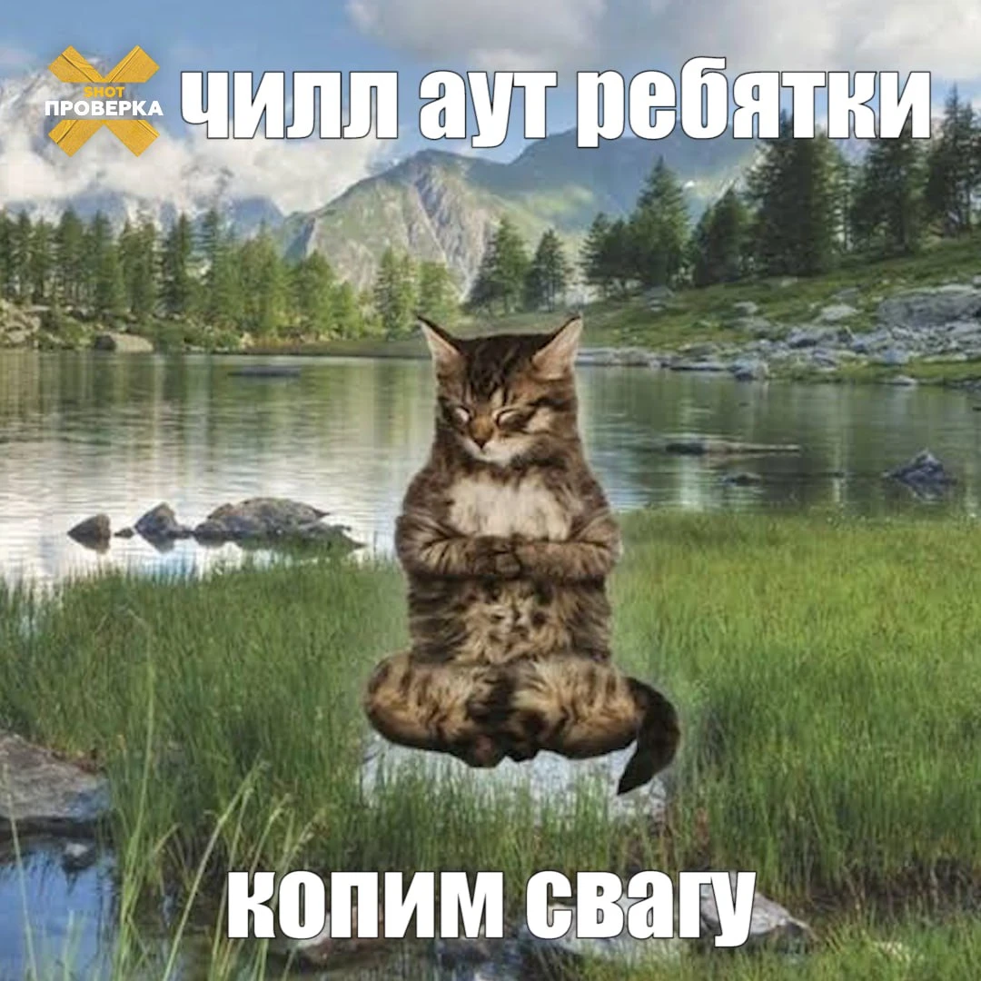 «Расслаблетики» набирают популярность в России — на полках появились напитки, которые о...