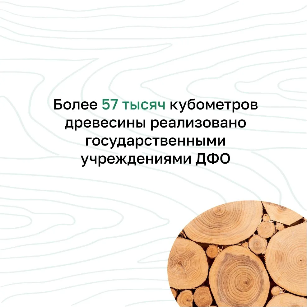 🟢 За 9 месяцев 2026 года государственными учреждениями ДФО заготовлено 69,237 тыс. м3 ...