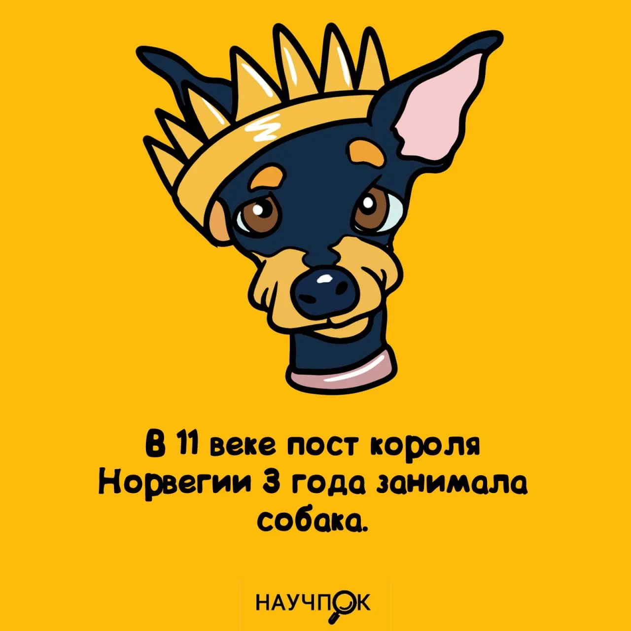 Норвегия в XI веке: собака у власти 👑
