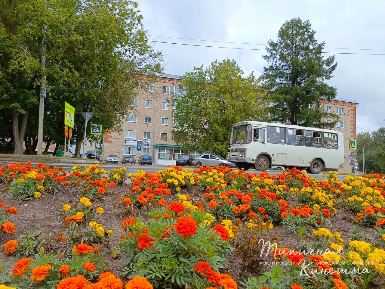 Трагедия в Кинешме - отца будут судить присяжные за убийство сына