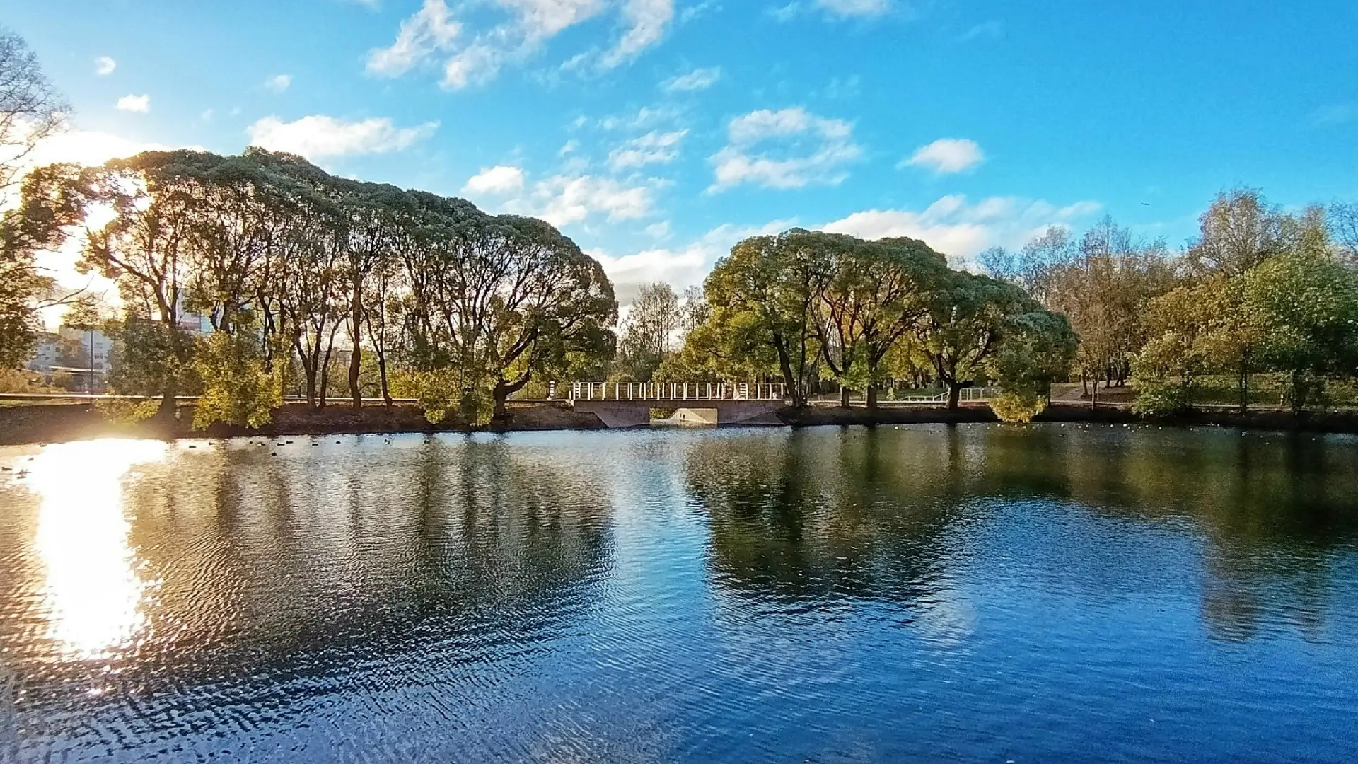⛅🌊🌿🦆