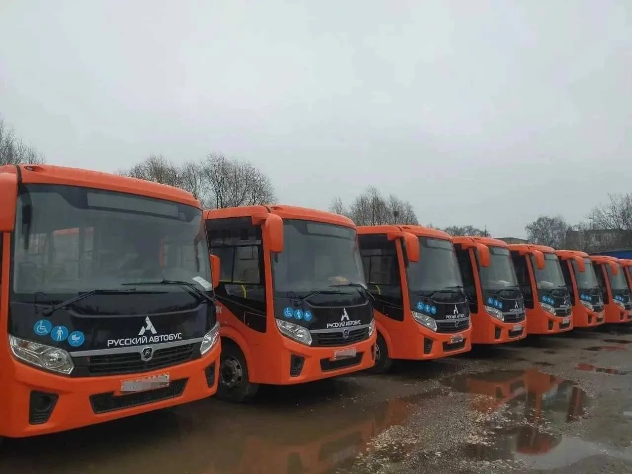 Нижний Новгород получит 25 новых автобусов ПАЗ Вектор NEXT до конца ноября 2026 года.