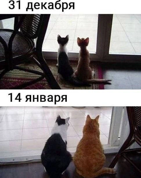 👉 👈