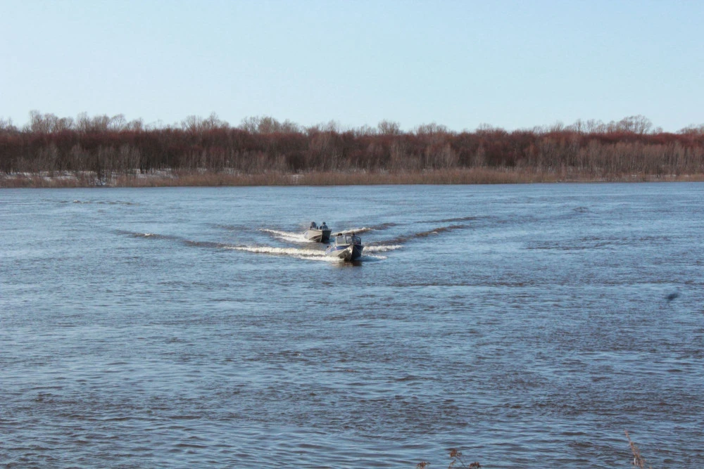Виды водных биологических ресурсов Нижегородской области и их значение в промысловых ул...