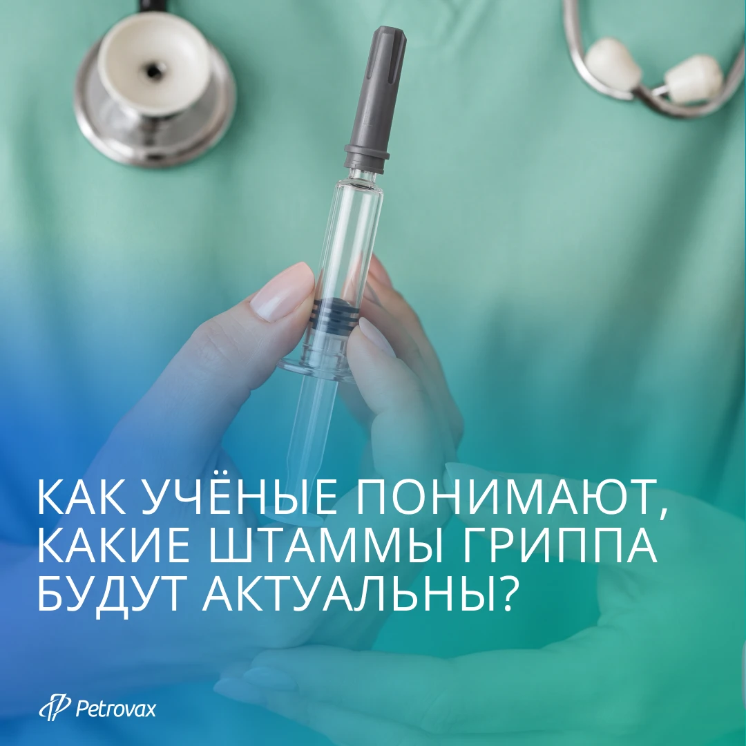 Как ученые понимают, какие штаммы гриппа будут актуальны в новом сезоне?