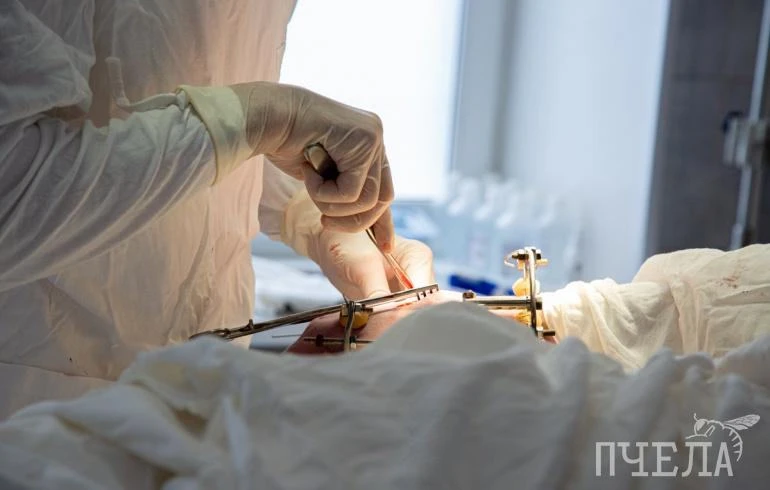 🎂 В городскую больницу Златоуста поступила 99-летняя пациентка с острой кишечной непро...