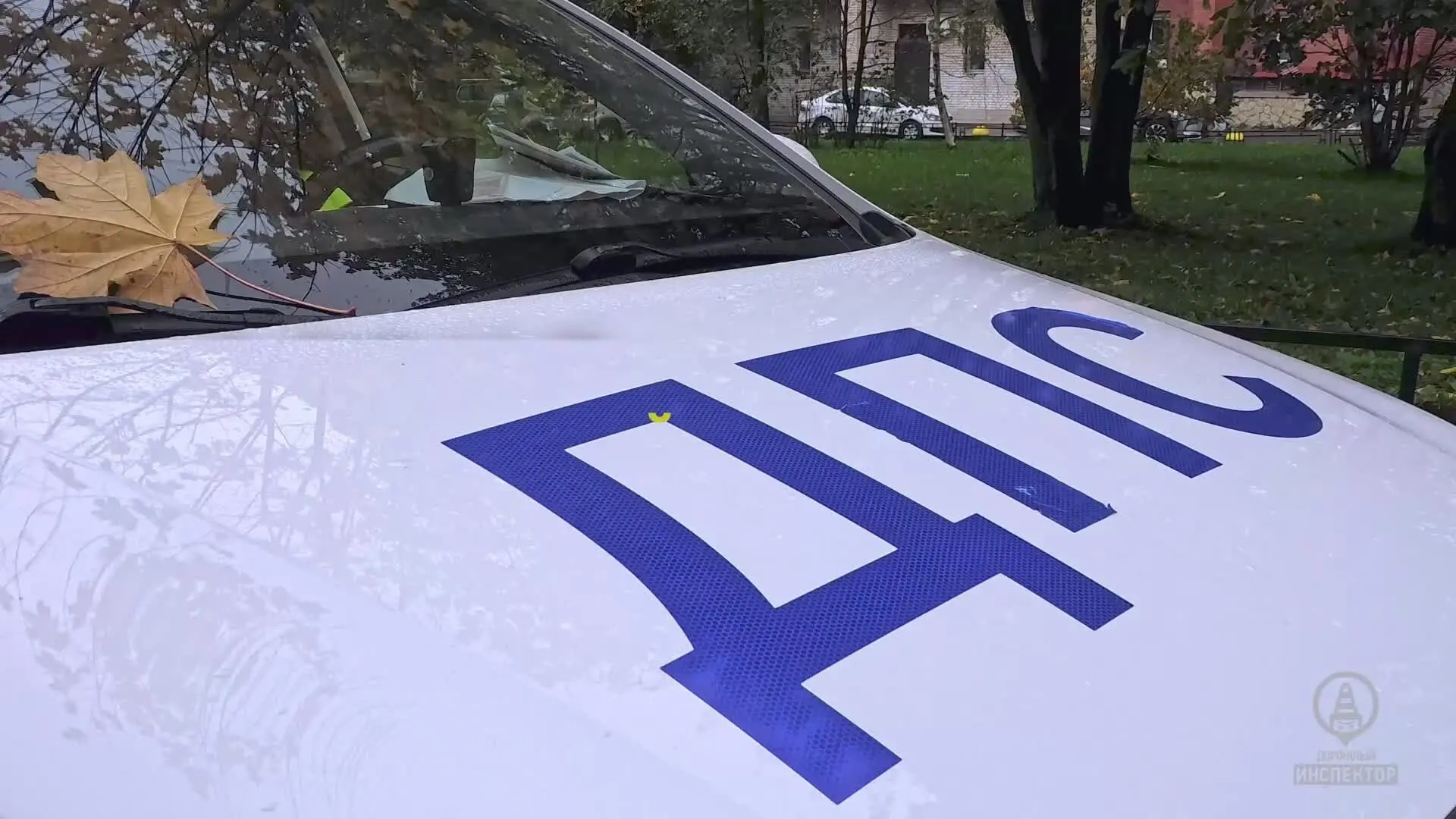 В Приморском районе полицейские со стрельбой задерживали нелегального мигранта