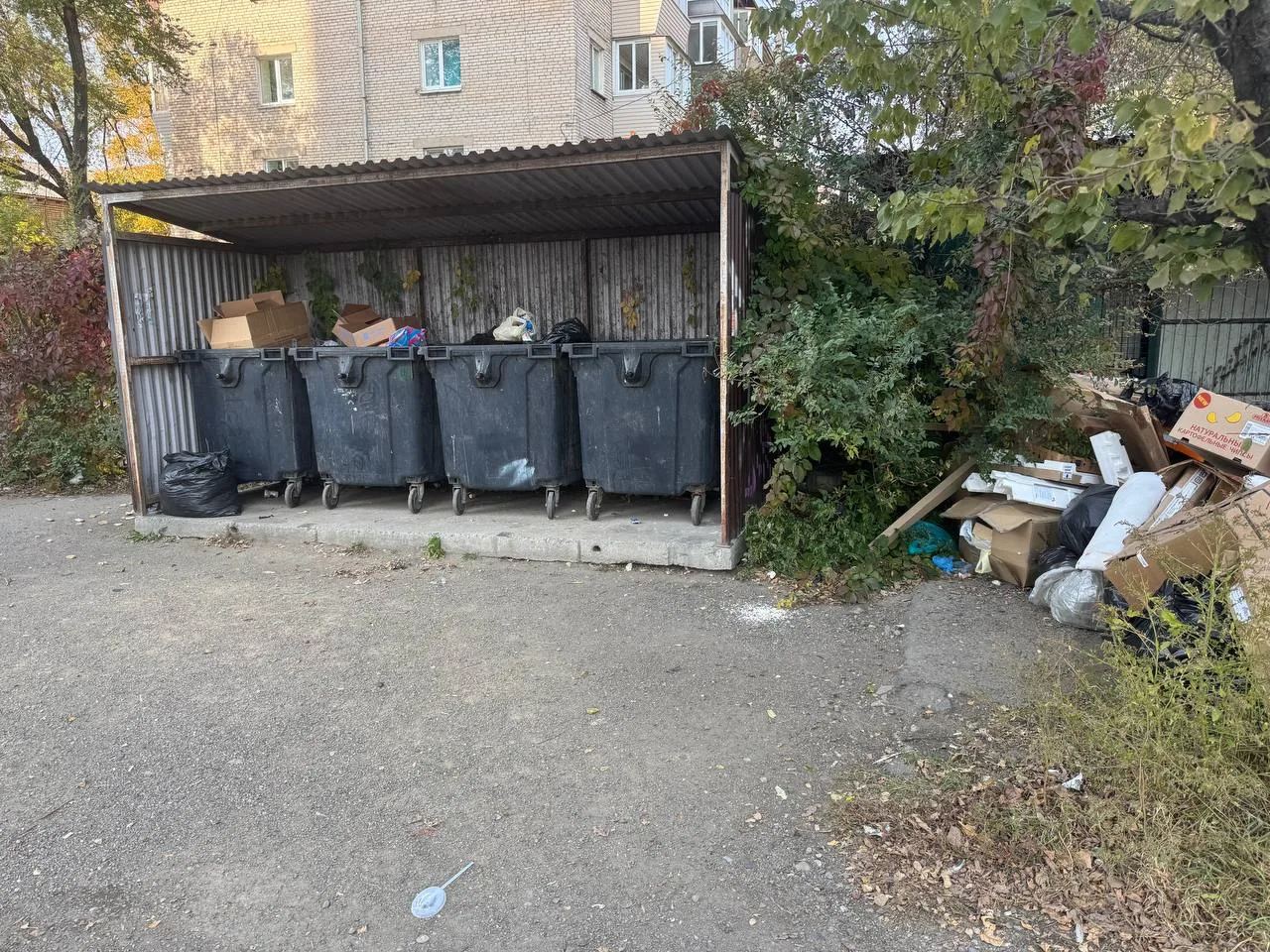 На улице Крестьянской в Уссурийске скопилась огромная гора мусорных пакетов. Отходы уже...
