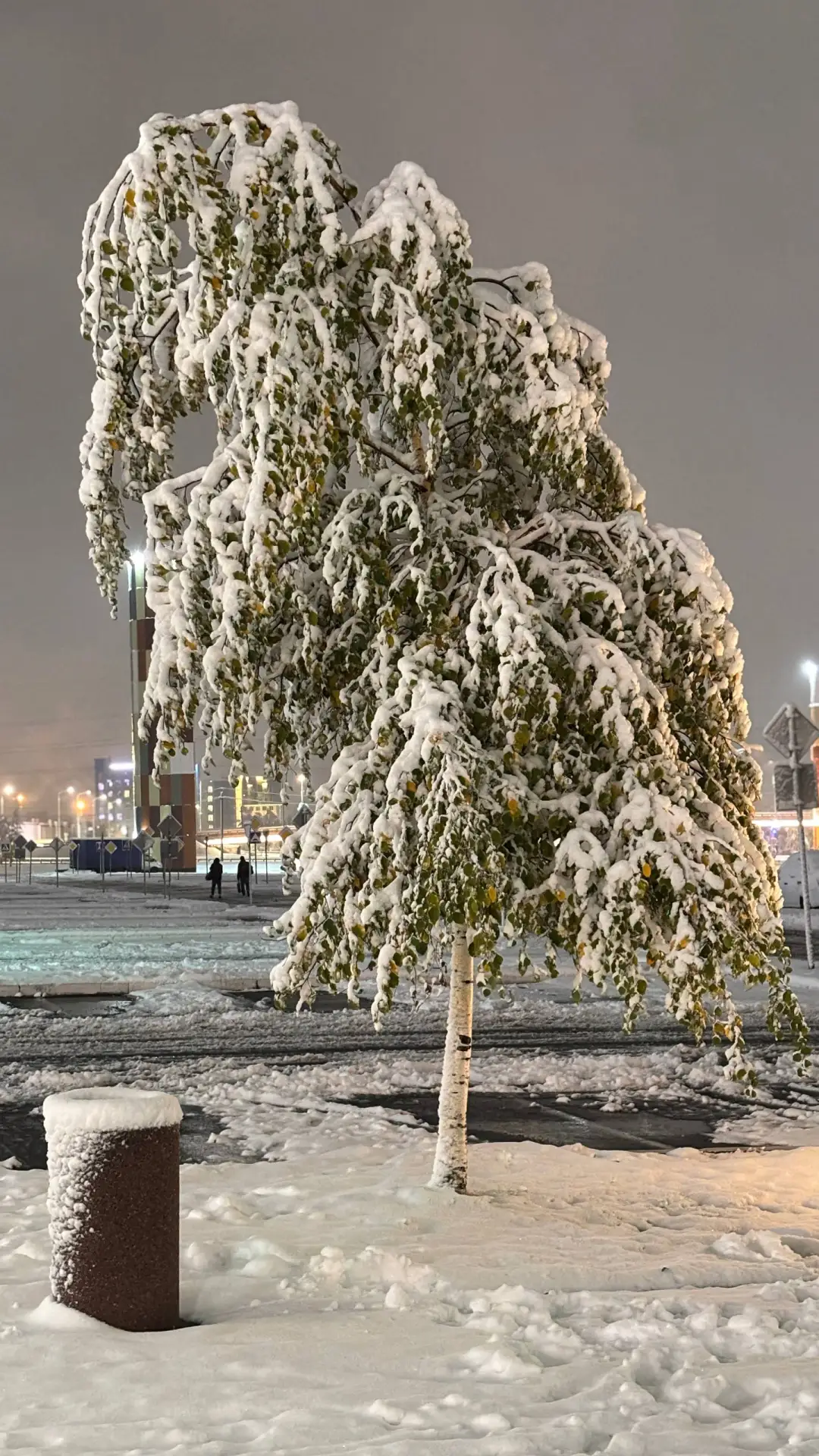 А вы готовы к снегу в октябре?❄️