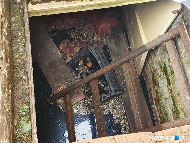 Жители частного сектора Кемерова полгода живут в сырости и вони.