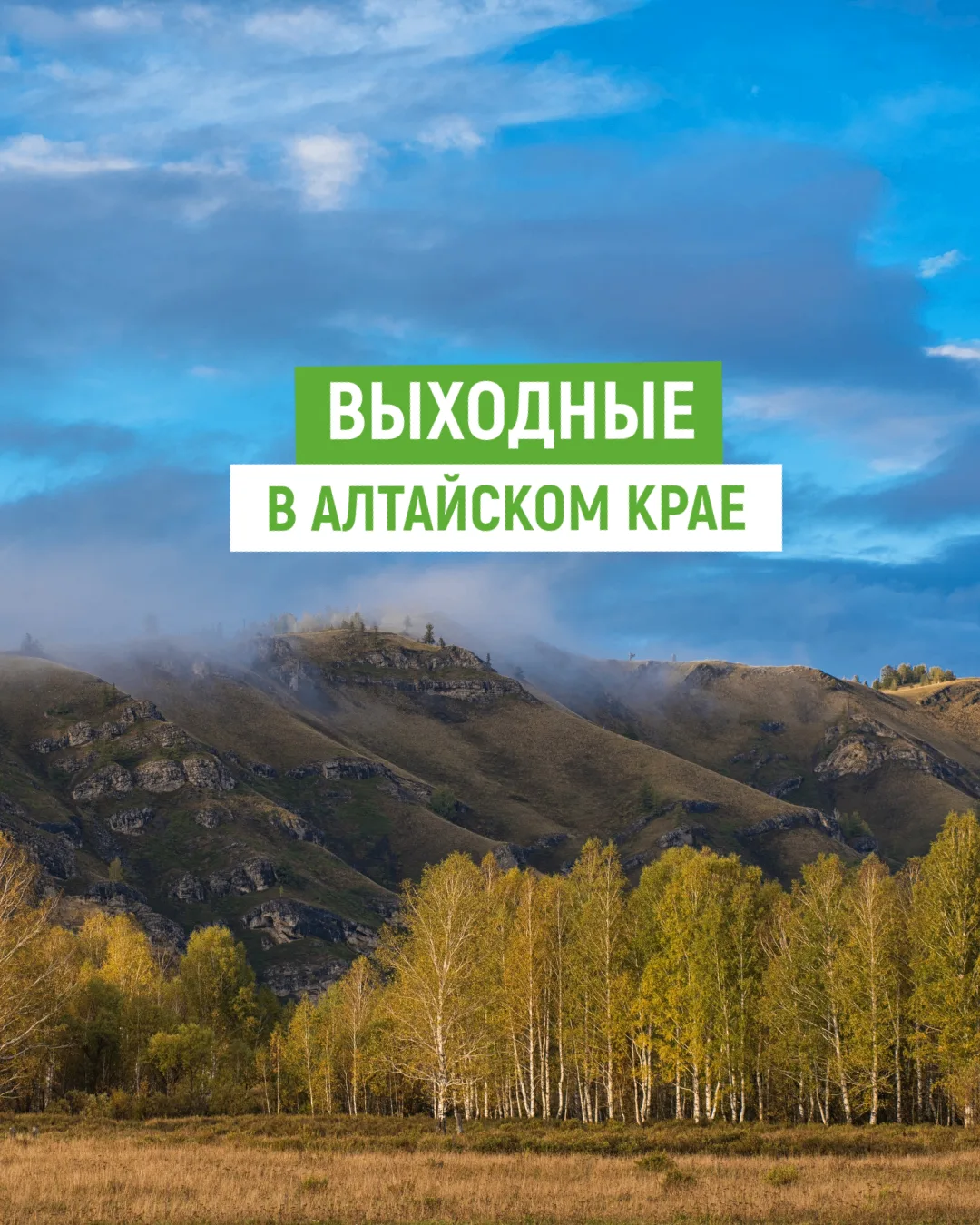 Куда сходить на выходных в Алтайском крае? Подборка событий на 10-11 октября 🍂