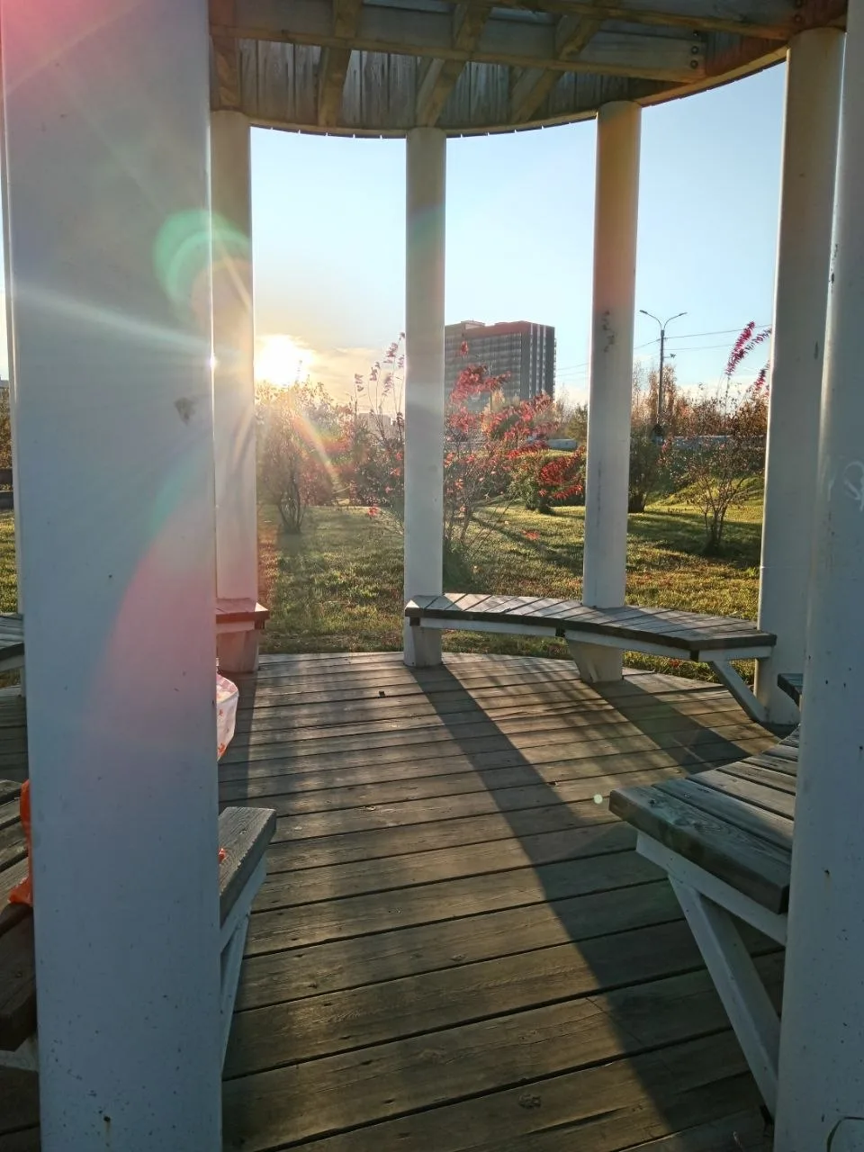 Солнечный день в осеннем парке 🍂☀️