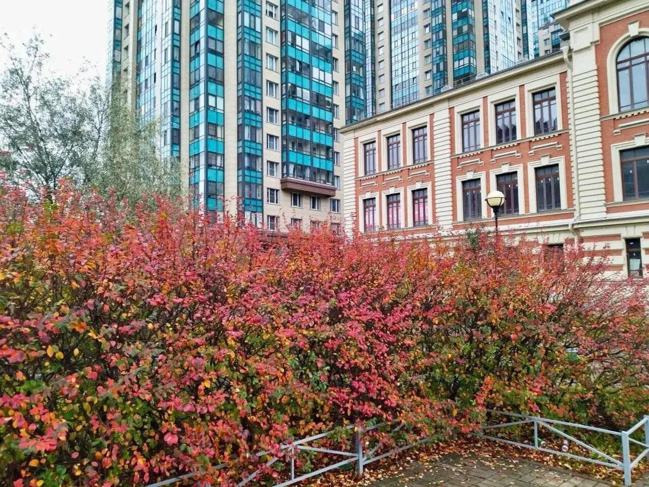 Осень в Рыбацком
